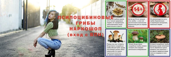 эйфоретик Михайлов